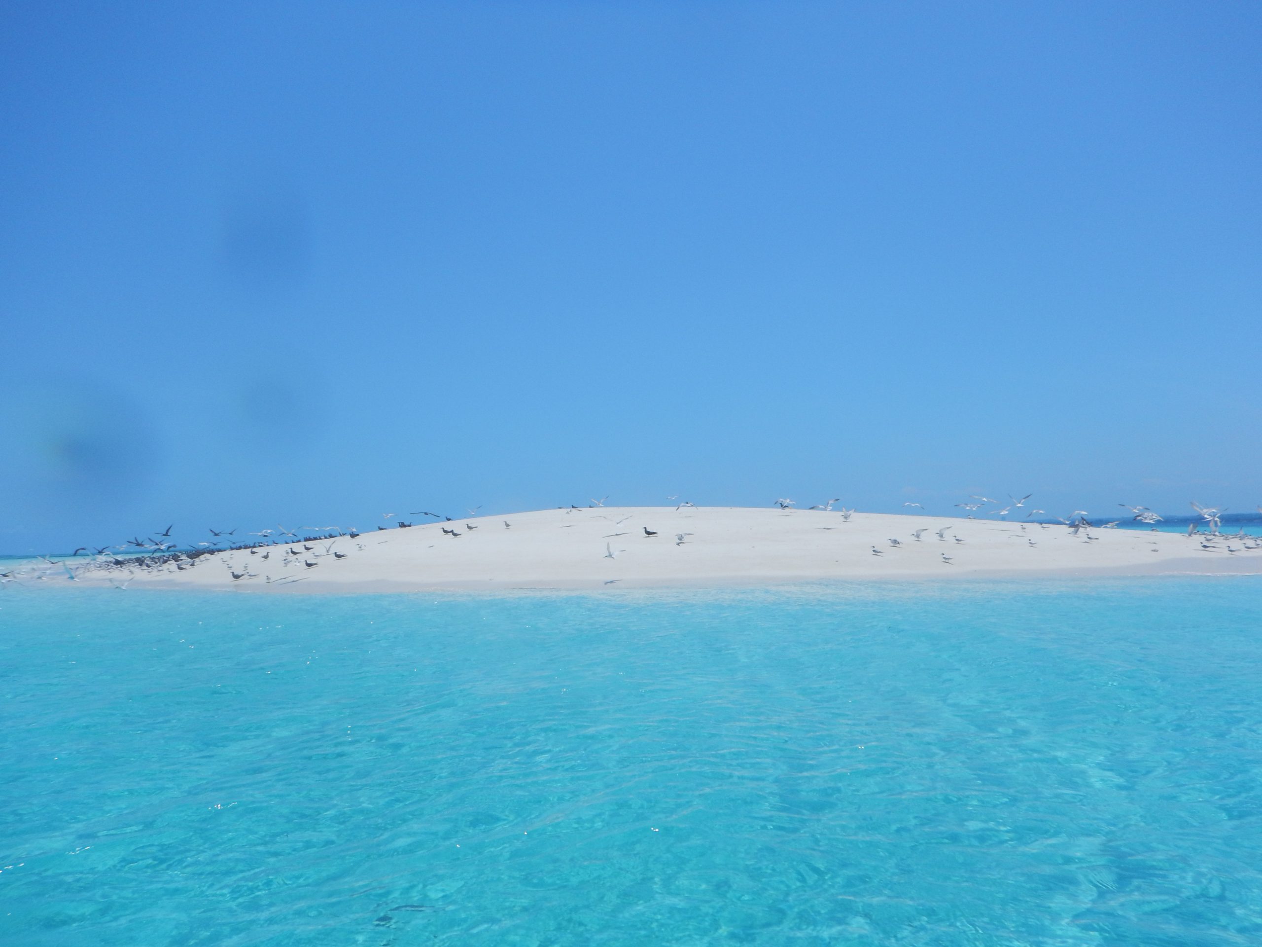 Guests exploring a spice plantation in Zanzibar
