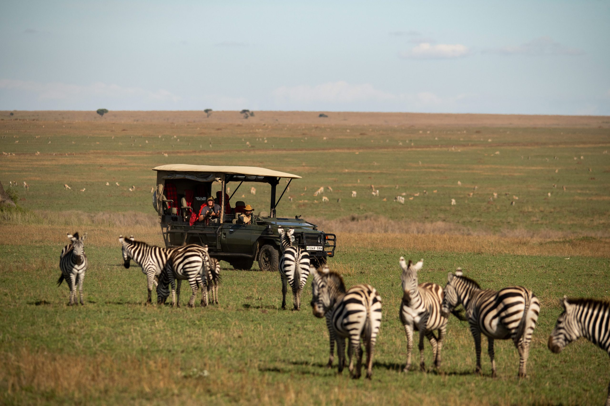 Wildlife safari in Tanzania